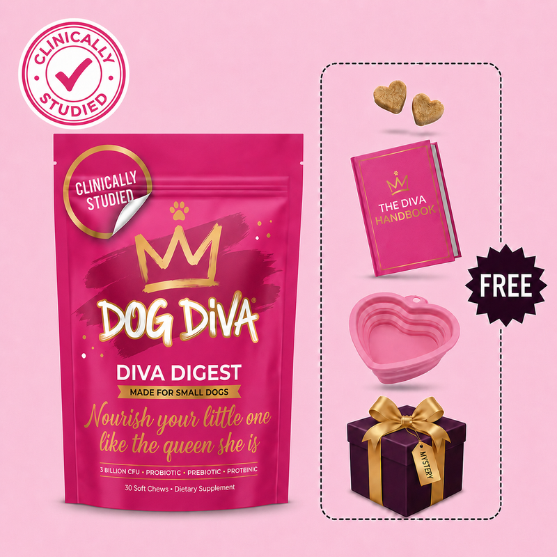 2-Pack Bundle