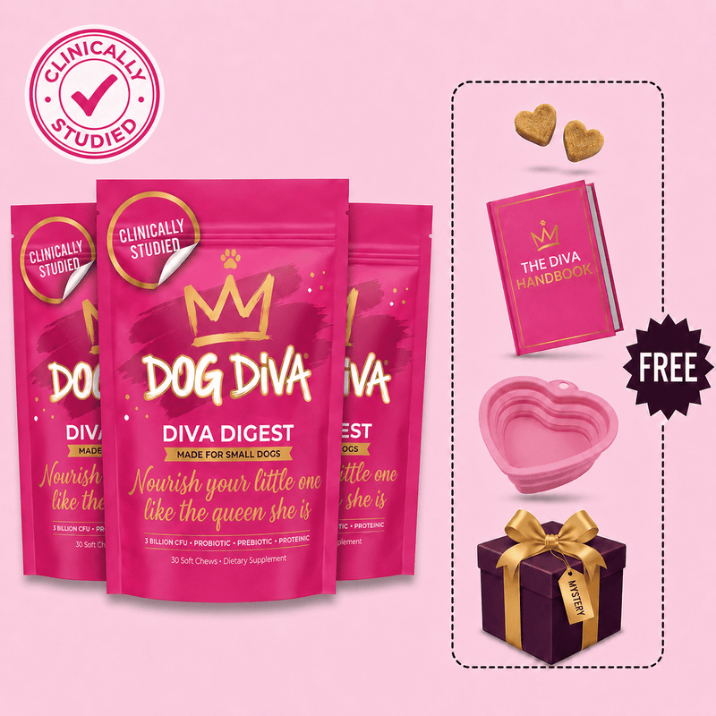 3-Pack Bundle
